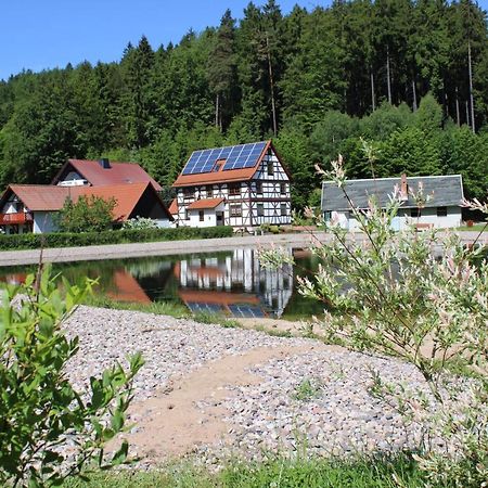 Ferienwohnung Nuessleshof Fambach エクステリア 写真