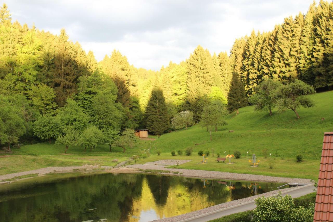 Ferienwohnung Nuessleshof Fambach エクステリア 写真